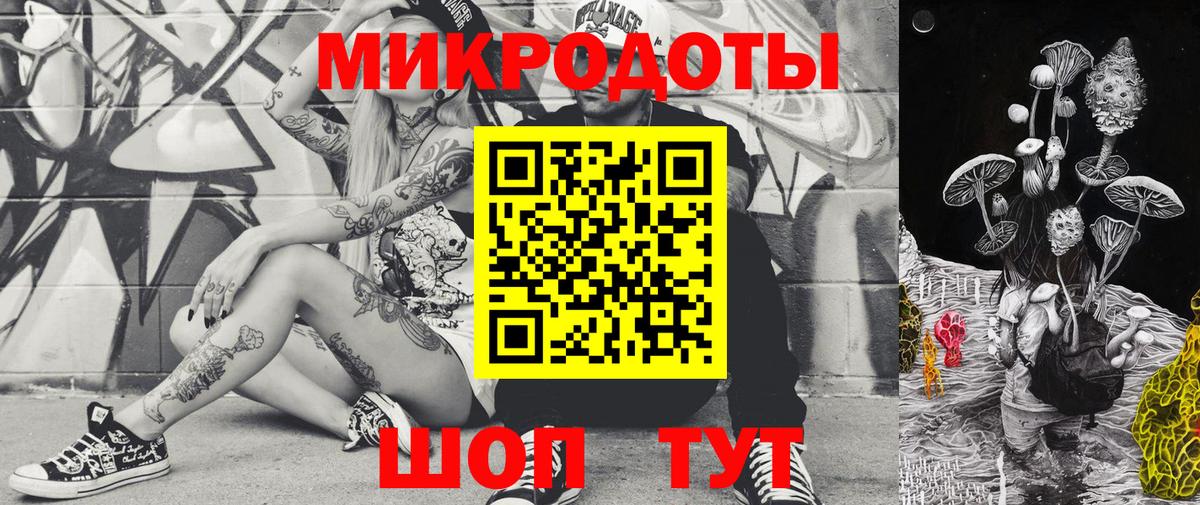 Галлюциногенные грибы Psilocybine cubensis Кировск